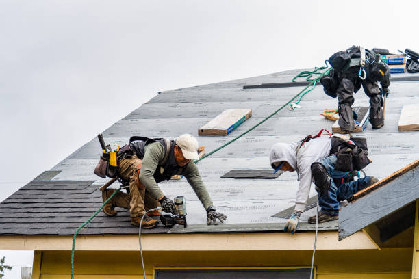 Professional Gutter Installation technician working in New Weston, OH